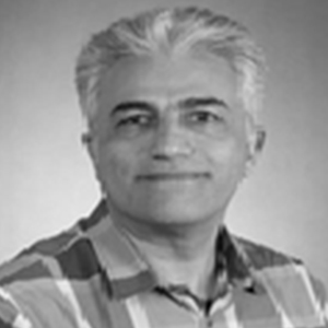 amir1